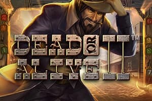 Dead or Alive 2 gokkast