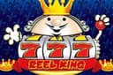 Reel King gokkast
