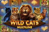 Wild Cats